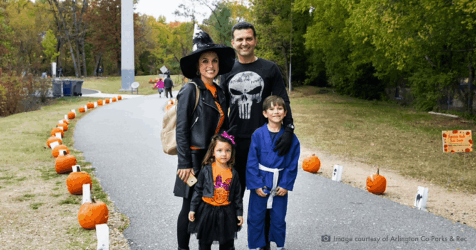 Pumpkin Walk