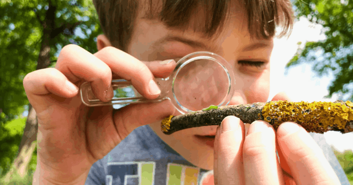 Catch the Buzz @ Bug Fest
