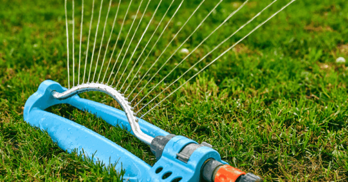 Stories & Sprinklers