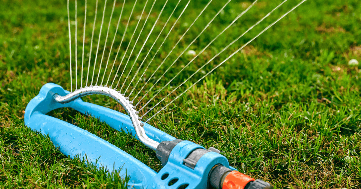 Stories & Sprinklers