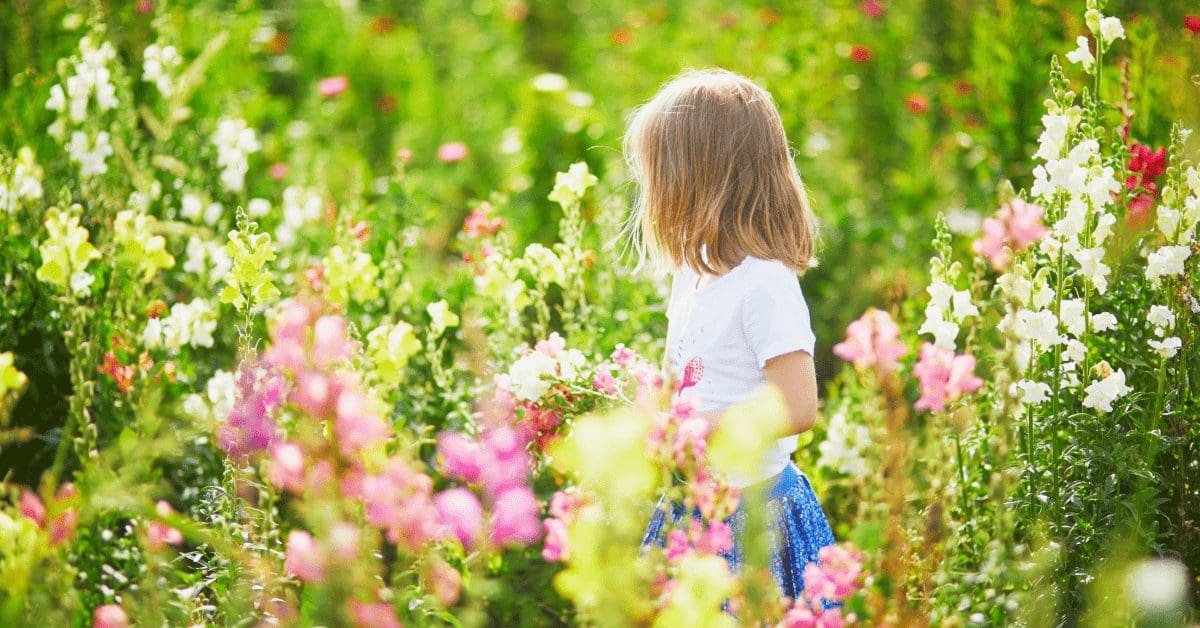 Spring Flowers