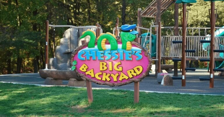 Get to Know Chessie's Big Backyard!