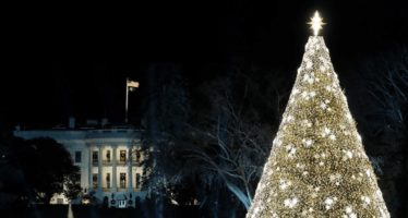 Visit the National Christmas Tree