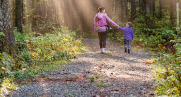 Top 8 Local Family Hikes for Spring & Summer
