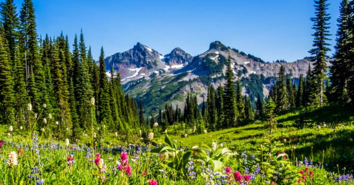 Free National Parks Access for 4th Graders
