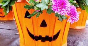 Fall Fests @ Farms, Zoos, & More