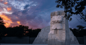 Films at the Stone
