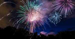 Vienna's Independence Day Celebration