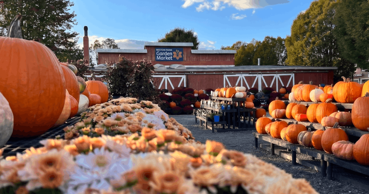 Reston Farm Garden Market Fall Fest