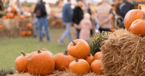 Joshua's Hands Fall Festival