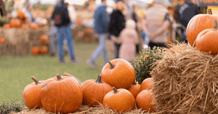 Joshua’s Hands Fall Festival