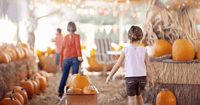 Fall Festivals & Special Events