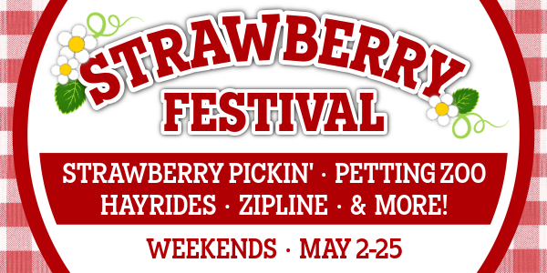 Strawberry Festival