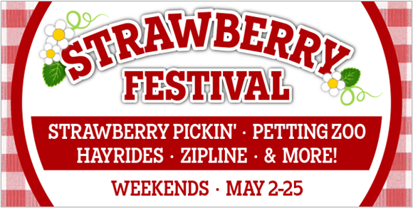 Strawberry Festival