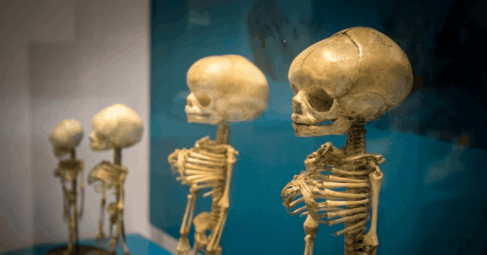 Budding Scientists: Medicine & Health Museums