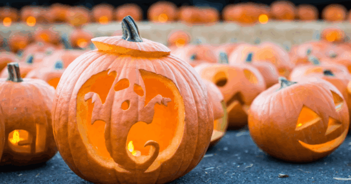 Halloween Fun is Brewing in LoCo!