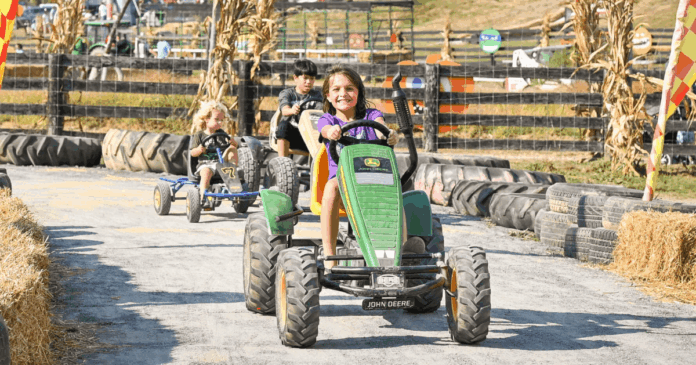 Pumpkin Village @ Leesburg Animal Park