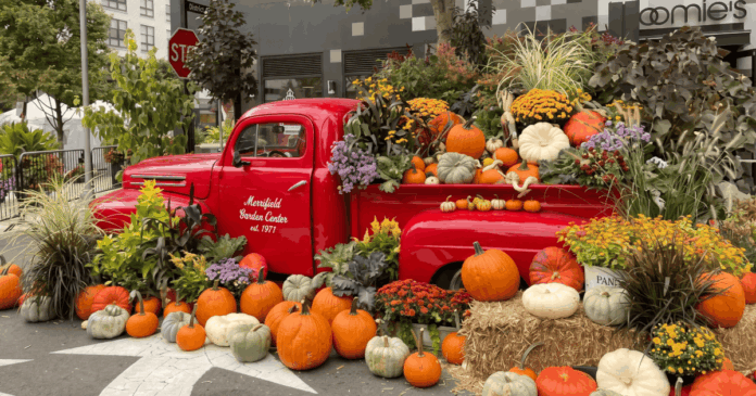 Spooktacular @ Mosaic District