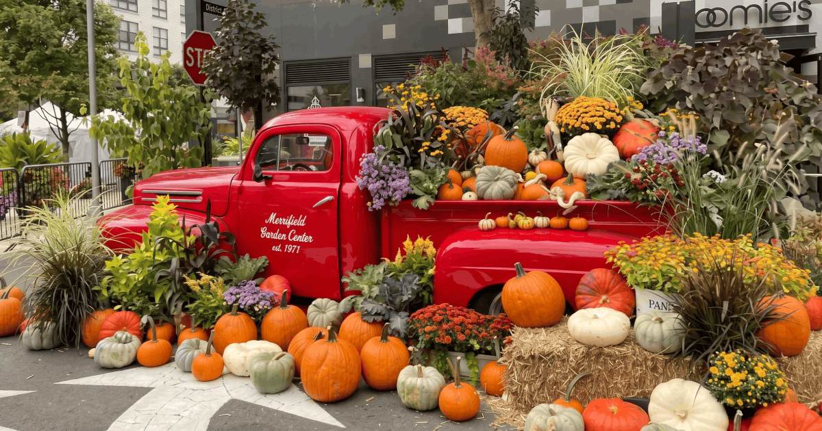Mosaic District Halloween Spooktacular